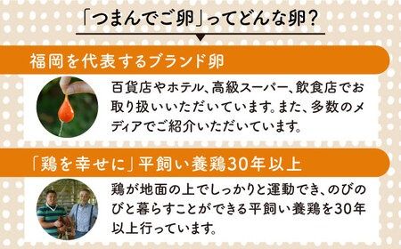 【 プリップリ な 卵黄 ！】 つまんでご卵 60個 セット 糸島 / 緑の農園 たまご 卵 [AGA012] たまご 卵 鶏卵 玉子 平飼い たまごかけご飯 卵かけご飯 卵焼き 平飼い卵