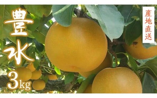 【 産地直送 】 豊水 3kg 先行予約 梨 フルーツ 果物 国産 日本産 梨 ナシ なし 和梨 [CZ007ci]