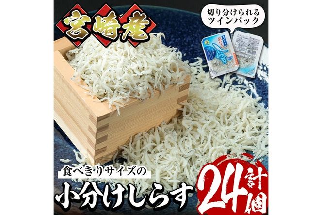 小分けしらすツインパック12個セット(計約600g・25g×2パック×12個)魚 小魚 魚介類 シラス おつまみ カルシウム 個包装 釜揚げ しらす丼 冷凍 子供 海鮮丼 お茶漬け 海鮮 宮崎県 門川町【E-22】【株式会社 水永水産】