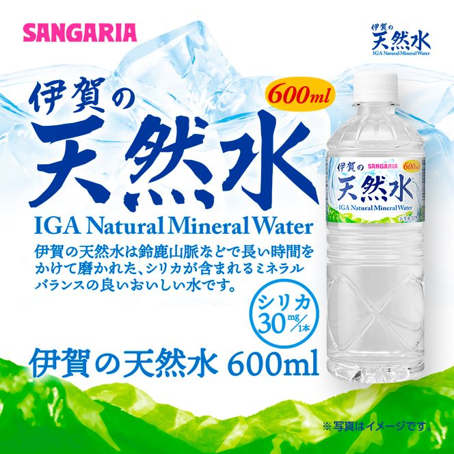 【6ヶ月定期便】サンガリア伊賀の天然水 １ケース（1ケース：600mL×24本）【igge-tkb0019】