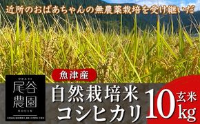 【早期予約】【令和8年度産米】尾谷農園 自然栽培米コシヒカリ 玄米10kg ※2026年10月～発送