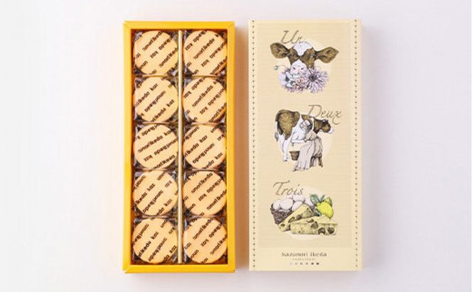 チーズケーキ【10個入り】＆モエルーショコラ“ゴリラ”【10個入り】【菓子 おかし スイーツ デザート 食品 】 041009_BL007