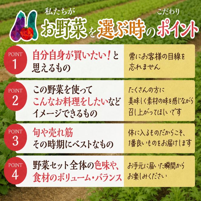 とれたて 野菜 パック 定期便 3回 季節の野菜 セット 詰め合わせ 8品前後 野菜セット 野菜詰め合わせ 3ヶ月 ジャガイモ 人参 大根 小松菜 白ネギ グリーンリーフ チンゲン菜 椎茸 トマト 水菜 葉ネギ 人気 厳選 静岡県