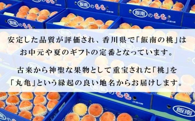 【2026年早期予約】特秀品 桃 約4kg （目安:11玉～14玉) 讃州丸亀 飯南の桃 贈答箱 もも モモ 果物 くだもの 果実 フルーツ 旬 旬の果物 デザート スイーツ おやつ ゼリー ジュース 人気果物 人気フルーツ ランキング 香川 丸亀