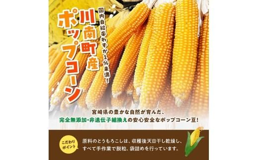 国産ポップコーン用（乾燥とうもろこし）　500g（個包装50g×10パック） 【 数量限定 期間限定 宮崎県産 ポップコーン 】[C07109]