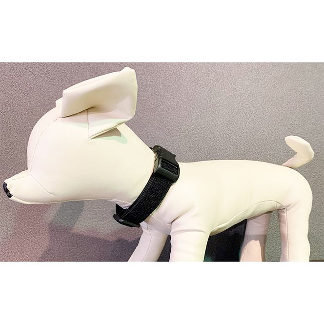 ペット用ネックバンド STEP EQT 転倒防止 ブラック Lサイズ 犬 猫