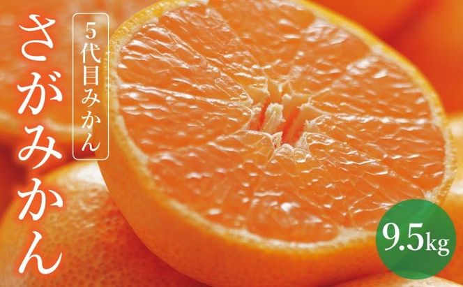 【期間限定】さがみかん （5代目みかん9.5kg）【温州みかん 甘い 濃厚 ジューシー コク 完熟 熟成みかん 蔵出し 蔵入り 柑橘 密柑 ギフト 果物 フルーツ 佐賀県産 佐賀県 大和 太良 石橋果樹園 人気】