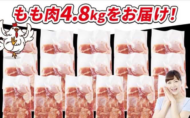 ＜宮崎県産若鶏切身 もも肉 4.8kg（300g×16袋）＞翌々月までに順次出荷 【 からあげ 唐揚げ カレー シチュー BBQ 煮物 チキン南蛮 小分け おかず おつまみ お弁当 惣菜 時短 炒め物 簡単料理 】【b0783_it_x2】