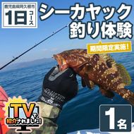 期間限定実施『パズル』オリジナル！シーカヤック釣り体験チケット(1日/1名) 阿久根 釣り シーカヤック アウトドア アクティビティ 自然 体験 ツアー チケット 海 マリンスポーツ 魚【パズル】akn098-09