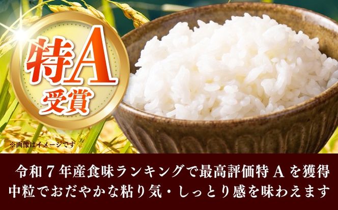 令和7年産　福岡県　元気つくし　5kg　《築上町》【カネガエ】[ABFA004]