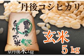 2025年産　京丹後産コシヒカリ 玄米5kg　GB00001