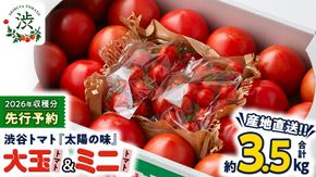 【 2026年 収穫分 先行予約 】 -太陽の味- 渋谷トマト 大玉トマト・ミニトマト詰め合わせ 約3.5kg 2026年1月5日～発送開始 トマト ミニトマト 茨城 産地直送 農家直送リコピン ビタミン 有機肥料 野菜 甘い 直売所 [EL01-NT]