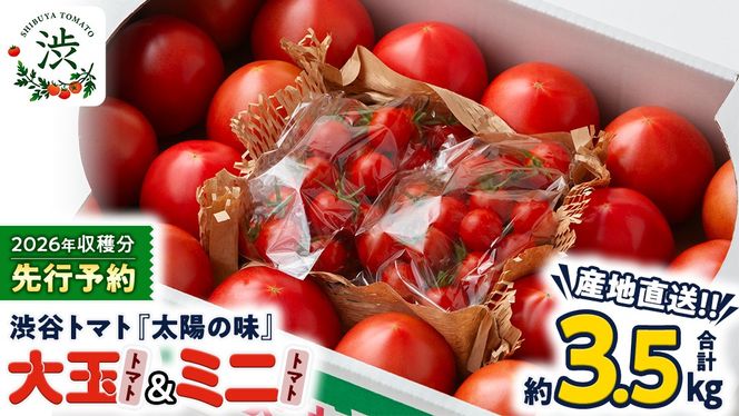 【 2026年 収穫分 先行予約 】 -太陽の味- 渋谷トマト 大玉トマト・ミニトマト詰め合わせ 約3.5kg 2026年1月5日～発送開始 トマト ミニトマト 茨城 産地直送 農家直送リコピン ビタミン 有機肥料 野菜 甘い 直売所 [EL01-NT]