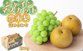 シャインマスカット、豊水梨　詰め合わせ約2kg箱 CC49