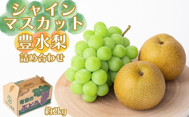 シャインマスカット、豊水梨　詰め合わせ約2kg箱 CC49