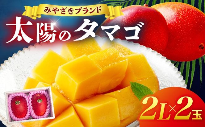 宮崎県産 太陽のタマゴ 2L×2玉