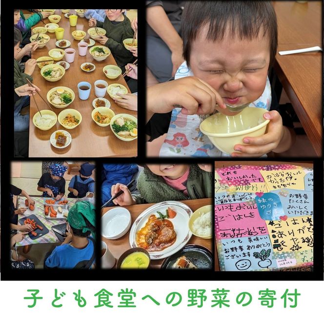 【緑のゆうき】購入された野菜の売上の1％が、社会貢献に 京都産のこだわり野菜（有機野菜、栽培期間中農薬・化学肥料不使用など）を 美味しいタイミングで収穫したセット 261009_B-KS08