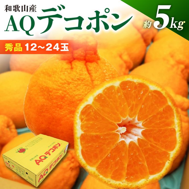 【2027年先行予約】和歌山県産 AQ デコポン 5kg 秀品 (12～24玉)_DN6012n