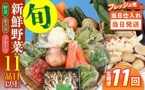 【毎月コース】野菜 キノコ 果物 11品目 詰め合わせ 11回 定期便  / 南島原市 / 吉岡青果[SCZ037]