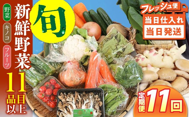 【毎月コース】野菜 キノコ 果物 11品目 詰め合わせ 11回 定期便  / 南島原市 / 吉岡青果[SCZ037]