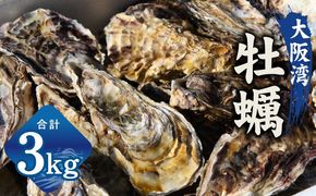 G2187 牡蠣 3kg【先行予約 かき カキフライ 冷凍 加熱用 殻付き 魚介類 海鮮 大阪湾 産地直送】
