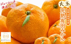 【果汁たっぷり】迫力満点！ 大粒 完熟有田みかん 家庭用 サイズ混合(2L～4L)　約7.7kg(7.5kg+200g)【2026年11月中旬～1月中旬頃に順次発送予定】【ard226A】