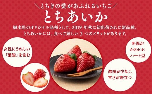 栃木おいしい会のいちご（とちあいか）260g×4パック（1040g）｜栃木県共通返礼品 栃木県産 ※離島への配送不可 ※2026年1月上旬～4月下旬頃に順次発送予定