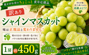 東かがわ市のちょこっと食卓応援品「訳ありシャインマスカット1房（約450g）」