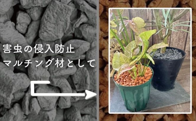 三河焼植木鉢ハーモニーブラウン【テラチップいぶし】プランター お手軽植物栽培セット 園芸 粘土 鉢 植物 土 シルバー 銀 茶 H188-007