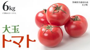 大玉 トマト 6kg (茨城県共通返礼品：大子町) 野菜 フルーツ 旬 季節限定 期間限定