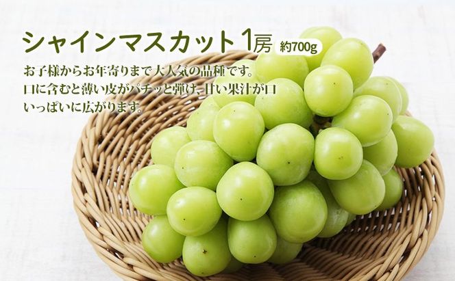 桃 ぶどう 詰合せ 2026年 先行予約 おかやま 夢 白桃 2玉（1玉250g以上） シャイン マスカット 1房 約700g 岡山県 赤磐市産 フルーツ 果物 あかいわファーマーズガーデン