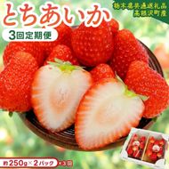 【先行予約】【3回定期便】栃木県産 とちあいか 合計1500g (250g×2パック✕3回) 農家直送 家庭用 和饗エコファーム【栃木県共通返礼品/高根沢町産】｜定期便 栃木県 ふるさと納税 いちご イチゴ 苺 旬 果物 フルーツ とちあいか(DW004)