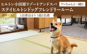 【チケット有効期限延長！】ワンちゃんと一緒にステイヒルトンドッグフレンドリールーム素泊まり（平日）【オーシャンビュー フィットネス 天然温泉大浴場 バーデゾーン 朝食ビュッフェ 都心から１時間のリゾート ヒルトン 神奈川県 小田原市 】 142069_BG007