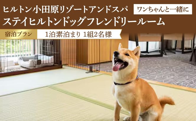 【チケット有効期限延長！】ワンちゃんと一緒にステイヒルトンドッグフレンドリールーム素泊まり（平日）【オーシャンビュー フィットネス 天然温泉大浴場 バーデゾーン 朝食ビュッフェ 都心から１時間のリゾート ヒルトン 神奈川県 小田原市 】 142069_BG007
