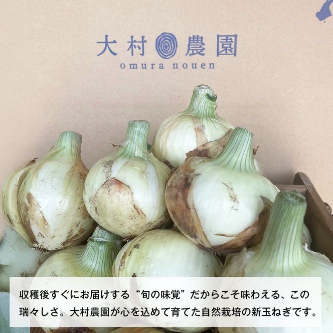 新玉ねぎ 自然栽培 4.5kg 玉ねぎ