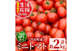 訳あり 規格外 数量限定 門川町産 ミニトマト(計2kg)  訳あり 規格外 数量限定 門川町産 ミニトマト 期間限定 生活応援 とまと 野菜 ミックス 生 旬野菜 冷蔵 【いけとも農園】【X-9】