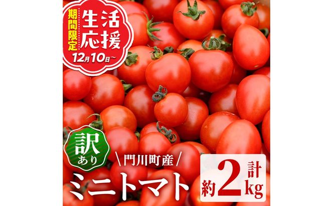 訳あり 規格外 数量限定 門川町産 ミニトマト(計2kg)  訳あり 規格外 数量限定 門川町産 ミニトマト 期間限定 生活応援 とまと 野菜 ミックス 生 旬野菜 冷蔵 【いけとも農園】【X-9】