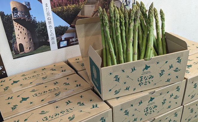 [2026年発送/先行予約] 北海道 十勝産 ハウスグリーンアスパラ 1kg (M～3L)【 アスパラ アスパラガス グリーン 野菜 北海道 十勝 幕別 】