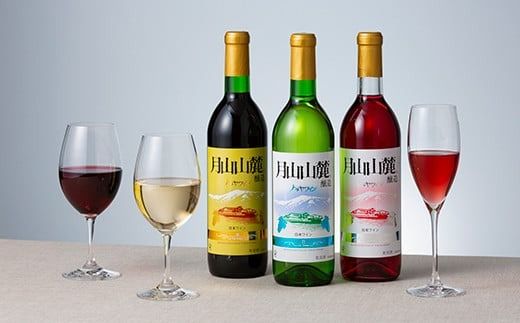 FYN6-239 やまがた月山山麓ワイン 赤・白・ロゼ 飲み比べ3本セット ライトボディ 山形県 西川町