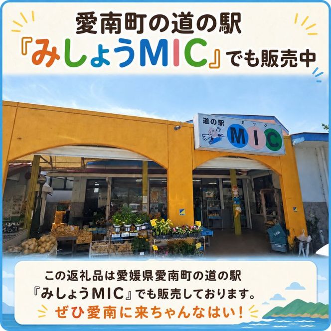 道の駅の「アイスセット」 愛南ゴールド アイス 小パック 2個 ソルベ 3個 河内晩柑 アイスクリーム ジェラート みかん 冷凍 暑い 夏 湯上がり プール 愛南総研 道の駅MIC 愛媛県 愛南町
