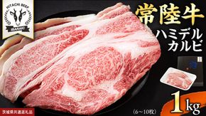 【 常陸牛 】A5 等級 ハミデルカルビ 1kg (6～10枚) ひたちぎゅう ブランド牛 カルビ 国産牛 黒毛和牛 和牛 国産黒毛和牛 お肉 A5ランク 高級 BBQ パーティ (茨城県共通返礼品) [BX128-NT]