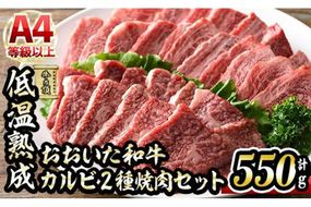 おおいた和牛 カルビ 2種焼肉セット (合計550g・赤身カルビ250g+カルビ300g) 国産 牛肉 肉 霜降り 低温熟成 A4 和牛 ブランド牛 焼肉 BBQ 冷凍 大分県 佐伯市【DH211】【(株)ネクサ】