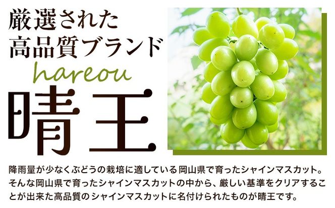 ぶどう [2025年先行予約] シャインマスカット 晴王 1.1kg (2房)《2025年9月中旬-11月上旬頃出荷》ハレノスイーツ 岡山中央卸売市場店 マスカット 送料無料 岡山県 浅口市 フルーツ 果物 贈り物 ギフト 国産 【配送不可地域あり】---124_c910_9c11j_24_28000_1100---