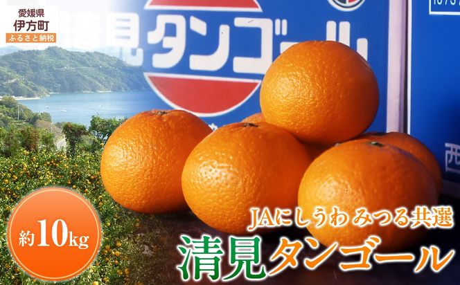 yQɕzys\zyʌzJAɂ ݂鋤I ^S[ 10kg ւ̔zsi2026N3{菇\j IKTBC009