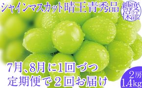 2026年予約受付中【2回定期便】シャインマスカット晴王2房 約1.4kg 7月8月に出荷 人気 岡山県産 種無し 皮ごと食べる みずみずしい  フレッシュ 晴れの国 おかやま 果物大国 ハレノフルーツ