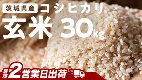 【最短2営業日出荷】 コシヒカリ 玄米 30kg 茨城県 つくばみらい市産スピード発送 お米 米 おこめ こめ コメ 30キロ こしひかり 令和7年産 大容量 玄米食 低GI