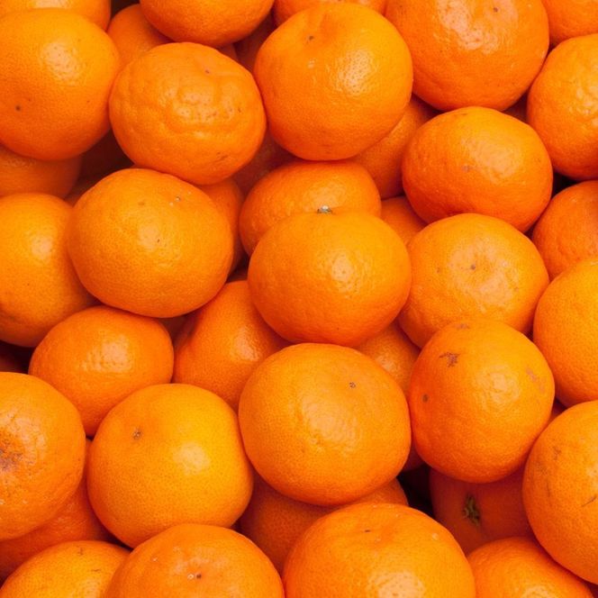 プレミアム 有田みかん（完熟）5kg+250g（傷み補償分） 	CZ060