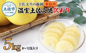 【先行予約】訳あり 温室土佐文旦 家庭用 5kg (8～12玉）〈2026年12月上旬から発送〉/文旦 ぶんたん ブンタン 土佐文旦 ハウス栽培 甘い 柑橘 フルーツ 果物 ご当地 産地直送 お取り寄せ【土佐文旦の藤岡】 [BQBJ005]