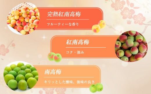 知多梅酒720ml 1ケース ◆ ❘ 梅酒　お酒　國盛　國盛FARM　果実酒　食前酒　リキュール　ロック　ソーダ割　紅南高梅　南高梅　完熟梅　フルーツ　愛知県　美浜町　中埜酒造