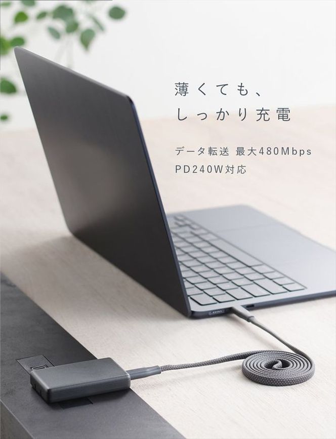 CIO ケーブル Mate Flat Spiral Cable CtoC Type-Cケーブル 充電 iPhone スマートフォン iPad ライトブラック｜小型 軽量 おしゃれ 便利 [2658]